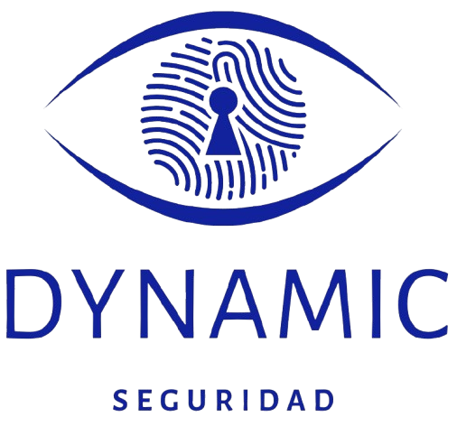 Dynamic Seguridad