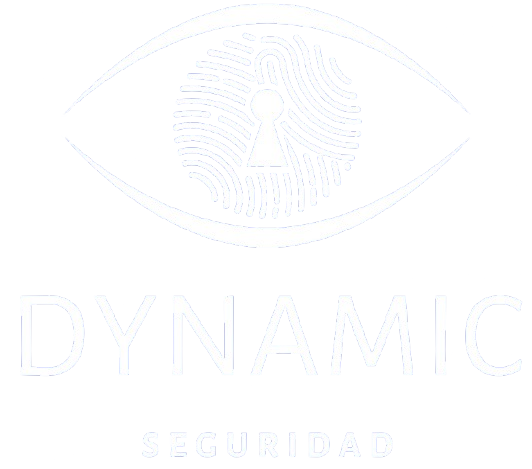Dynamic Seguridad