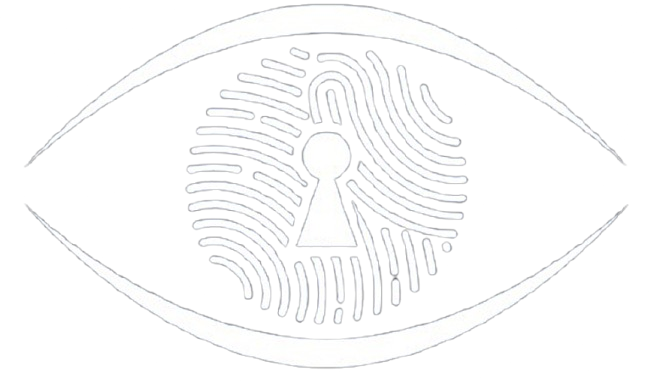 Dynamic Seguridad Logo